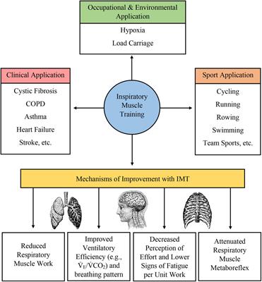 Inspiratory muscle training discount ppt